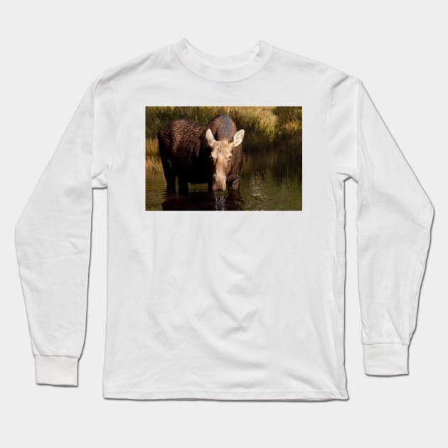 Moose - Algonquin Park, Canada Long Sleeve T-Shirt by Jim Cumming